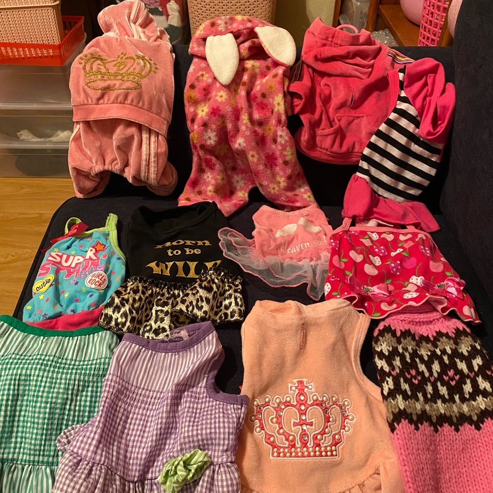Dog or cat clothes